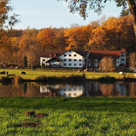 Landgasthof Rotlipp Gaestezimmer Ortenberg  Exteriér fotografie