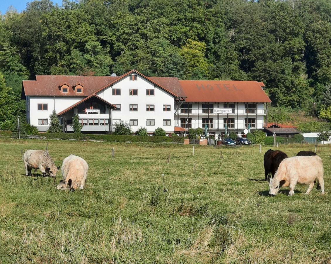 Landgasthof Rotlipp Gaestezimmer Ortenberg  Exteriér fotografie