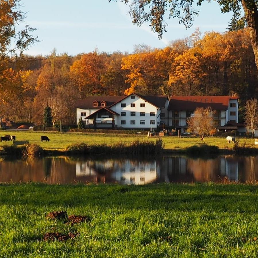 Landgasthof Rotlipp Gaestezimmer Ortenberg  Exteriér fotografie