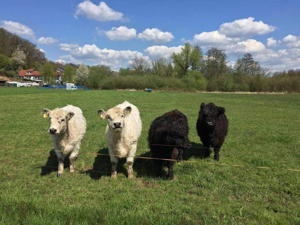 Landgasthof Rotlipp Gaestezimmer Ortenberg  Exteriér fotografie