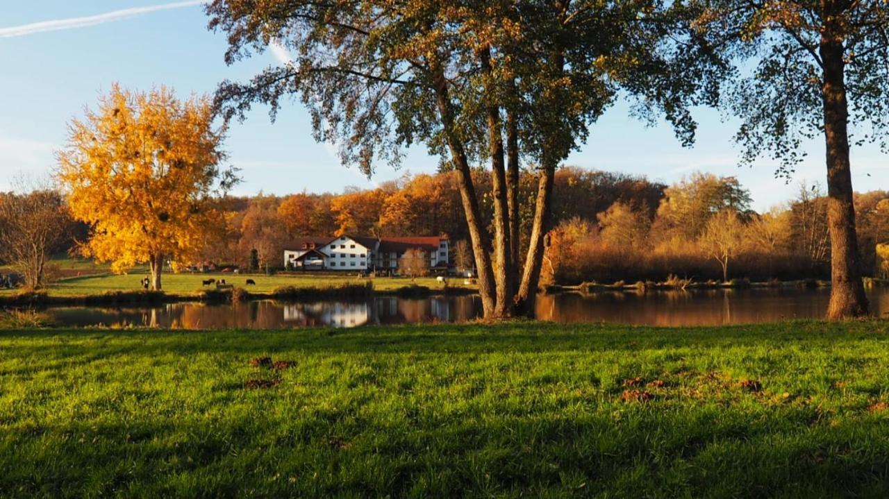 Landgasthof Rotlipp Gaestezimmer Ortenberg  Exteriér fotografie
