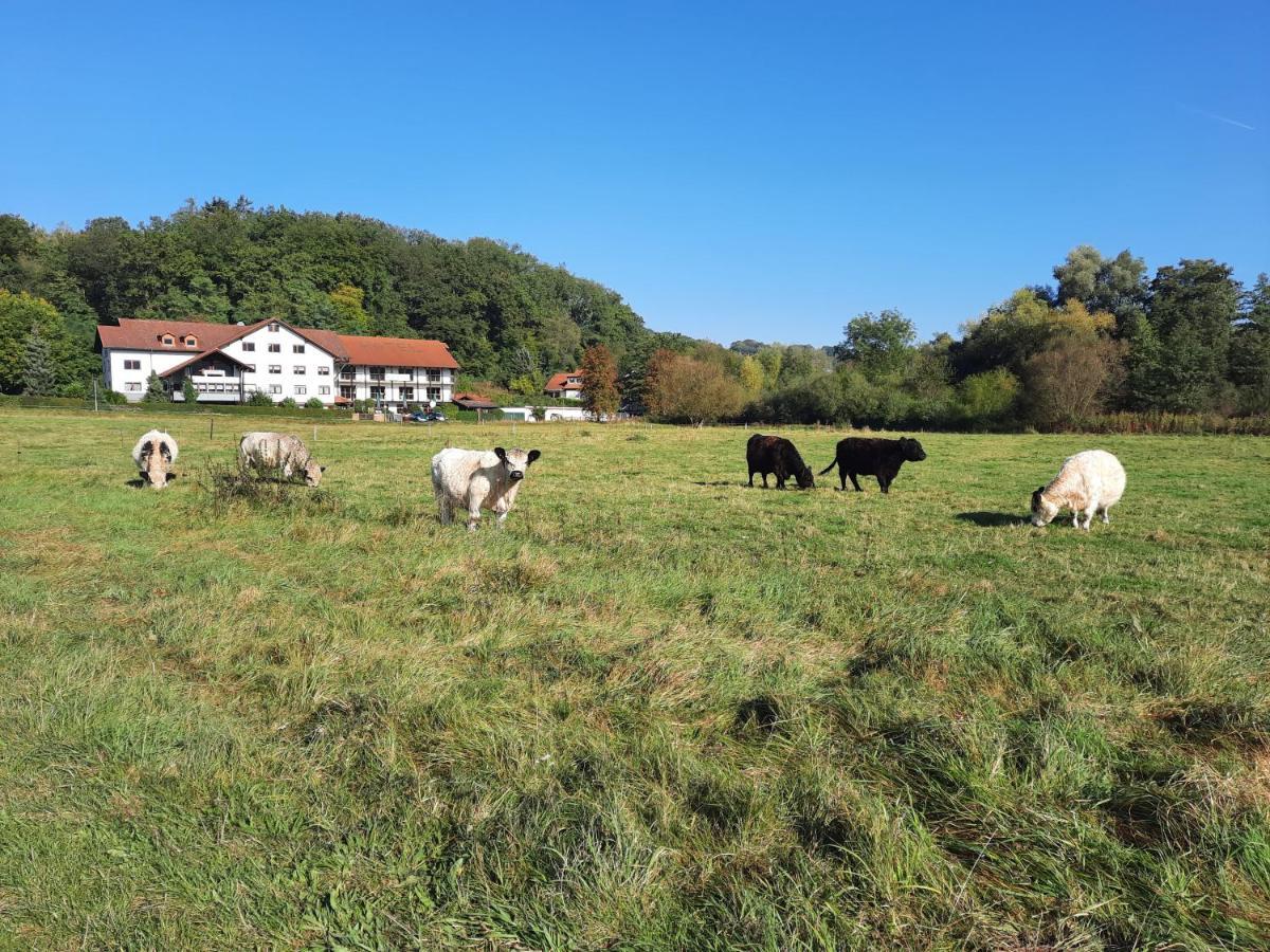 Landgasthof Rotlipp Gaestezimmer Ortenberg  Exteriér fotografie